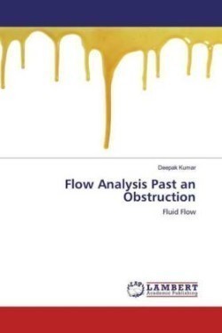 Flow Analysis Past an Obstruction