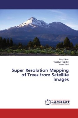 Super Resolution Mapping of Trees from Satellite Images