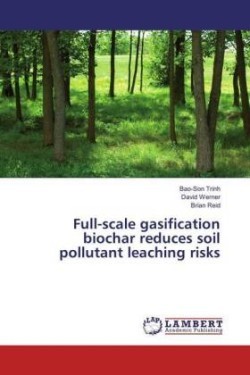 Full-scale gasification biochar reduces soil pollutant leaching risks
