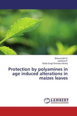 Protection by polyamines in age induced alterations in maizes leaves