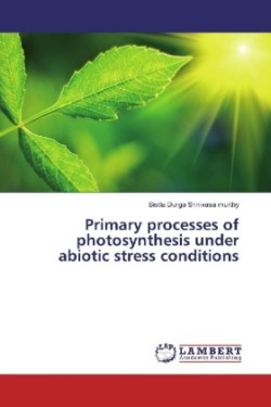 Primary processes of photosynthesis under abiotic stress conditions