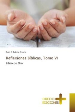 Reflexiones Bíblicas, Tomo VI