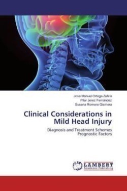 Clinical Considerations in Mild Head Injury