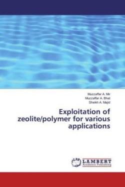 Exploitation of zeolite/polymer for various applications