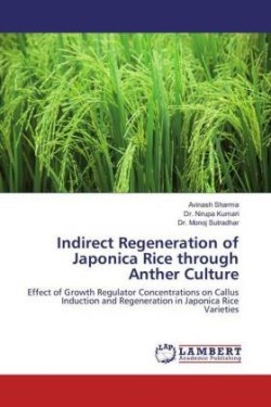 Indirect Regeneration of Japonica Rice through Anther Culture