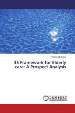 3S Framework for Elderly care: A Prospect Analysis