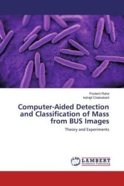 Computer-Aided Detection and Classification of Mass from BUS Images