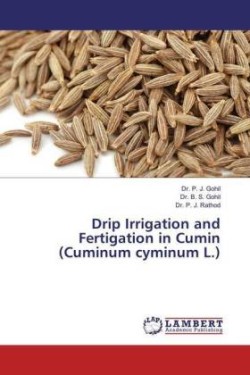 Drip Irrigation and Fertigation in Cumin (Cuminum cyminum L.)