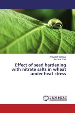 Effect of seed hardening with nitrate salts in wheat under heat stress