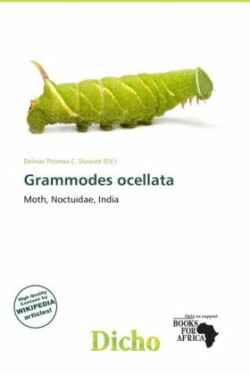 Grammodes ocellata