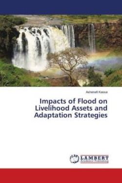 Impacts of Flood on Livelihood Assets and Adaptation Strategies