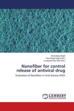 Nanofiber for control release of antiviral drug