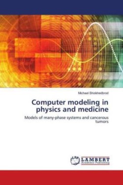 Computer modeling in physics and medicine