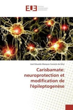 Carisbamate: neuroprotection et modification de l'épileptogenèse