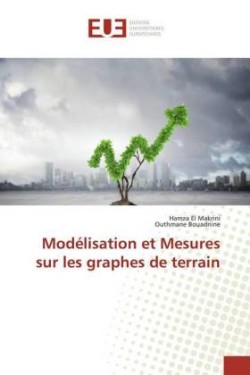 Modélisation et Mesures sur les graphes de terrain