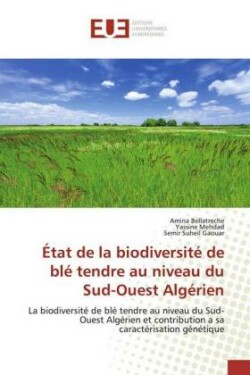 État de la biodiversité de blé tendre au niveau du Sud-Ouest Algérien