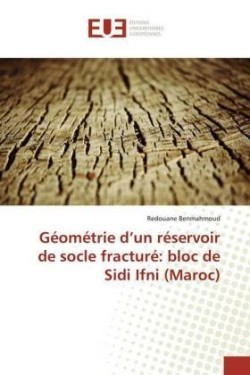 Géométrie d'un réservoir de socle fracturé: bloc de Sidi Ifni (Maroc)