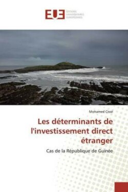 Les déterminants de l'investissement direct étranger