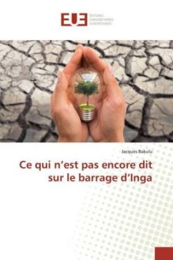 Ce qui n'est pas encore dit sur le barrage d'Inga