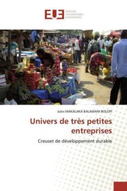 Univers de très petites entreprises