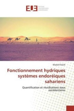 Fonctionnement hydriques systèmes endoréiques sahariens