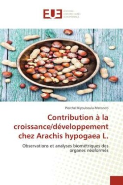 Contribution à la croissance/développement chez Arachis hypogaea L.