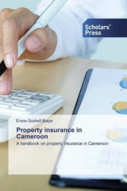 Property insurance in Cameroon