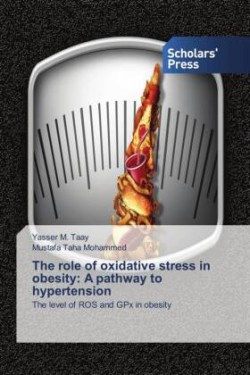 role of oxidative stress in obesity