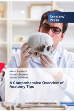 Comprehensive Overview of Anatomy Tips
