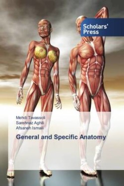 General and Specific Anatomy