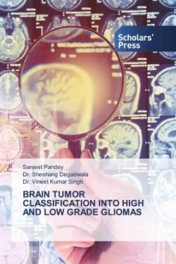 BRAIN TUMOR CLASSIFICATION INTO HIGH AND LOW GRADE GLIOMAS