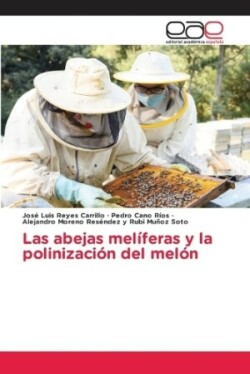 abejas mel�feras y la polinizaci�n del mel�n