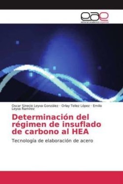 Determinación del régimen de insuflado de carbono al HEA