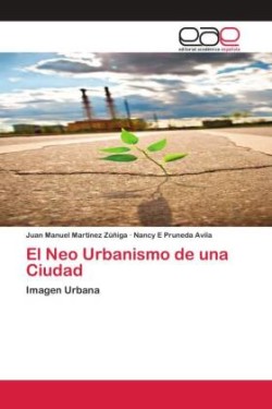 Neo Urbanismo de una Ciudad