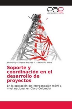 Soporte y coordinación en el desarrollo de proyectos