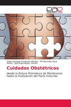 Cuidados Obstétricos