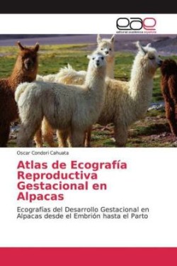 Atlas de Ecografía Reproductiva Gestacional en Alpacas