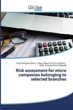 Risk assessment for micro companies belonging to selected branches