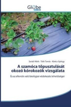 A szamóca töpusztulását okozó kórokozók vizsgálata