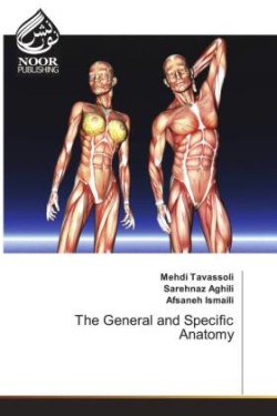 General and Specific Anatomy