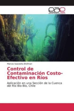 Control de Contaminación Costo-Efectivo en Ríos