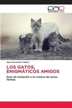 Gatos, Enigmáticos Amigos