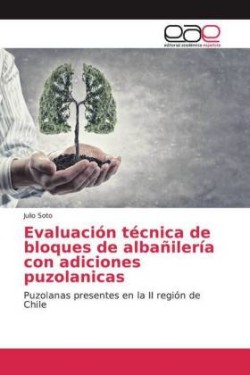 Evaluación técnica de bloques de albañilería con adiciones puzolanicas