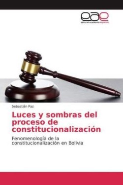 Luces y sombras del proceso de constitucionalización