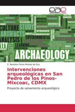 Intervenciones arqueológicas en San Pedro de los Pinos-Mixcoac, CDMX