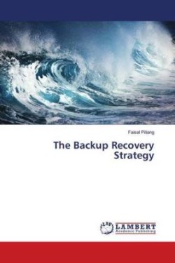 The Backup Recovery Strategy