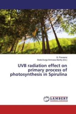 UVB radiation effect on primary process of photosynthesis in Spirulina