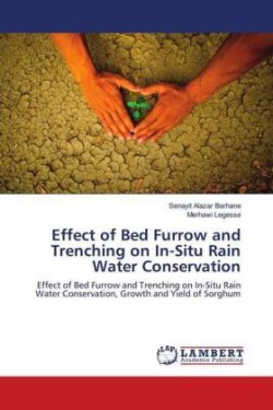 Effect of Bed Furrow and Trenching on In-Situ Rain Water Conservation