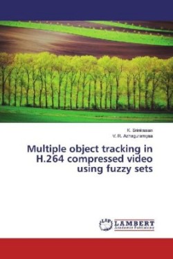 Multiple object tracking in H.264 compressed video using fuzzy sets