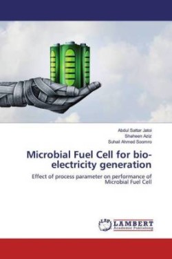 Microbial Fuel Cell for bio-electricity generation